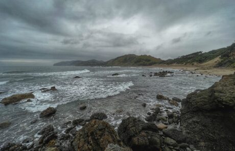 Coastal area on Mngazana Wild Coast Credit Steve McKean