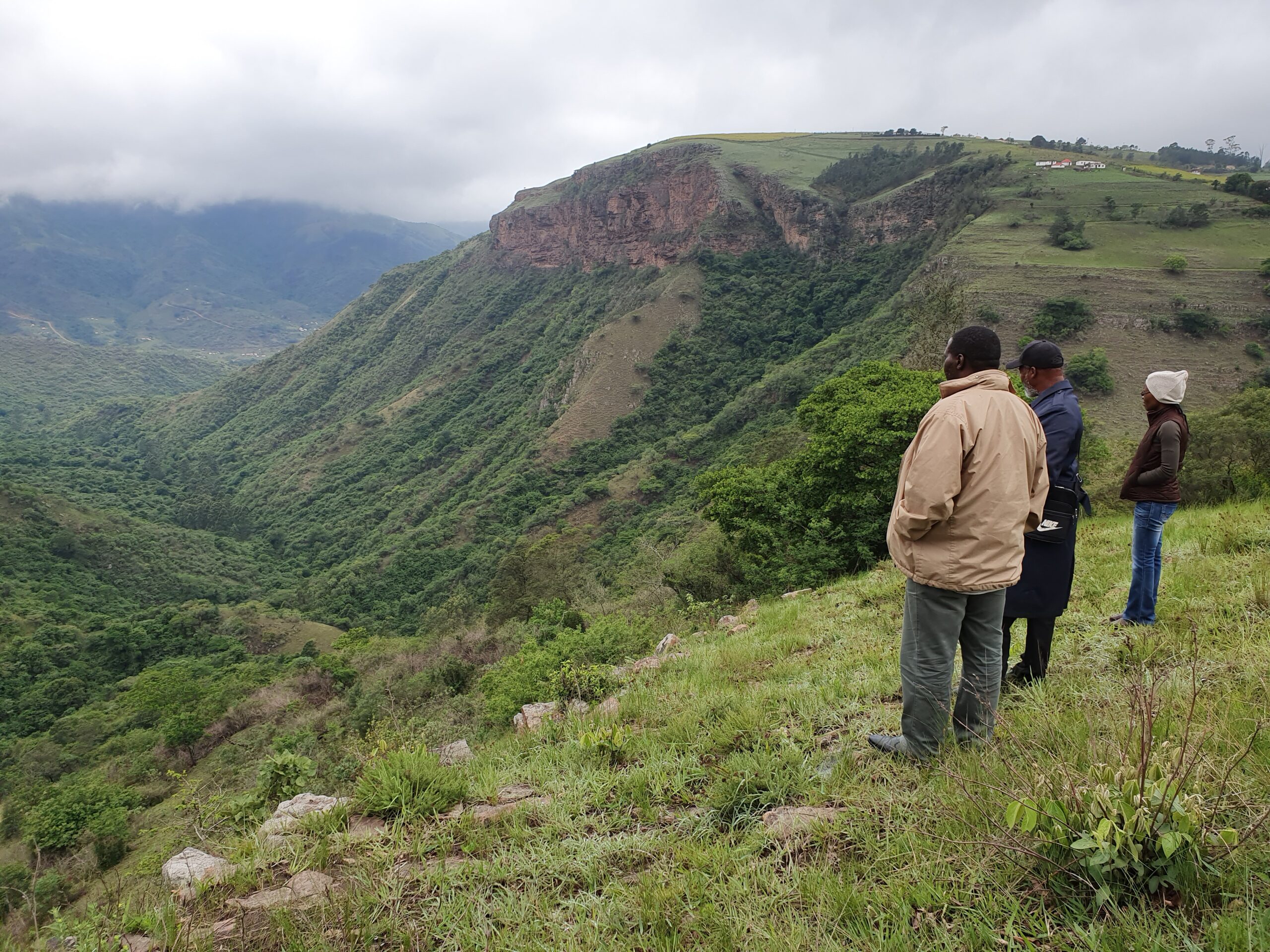 Community conservation area in the Gcumisa Traditional Authority area in KZN Credit Steve McKean