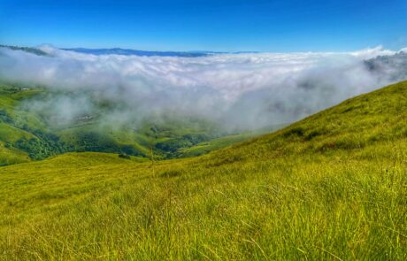 Midlands mistbelt grassland and community area near Ixopo in KZN Credit S. McKean