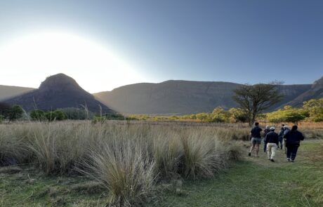 Verlorenkloof near Dullstroom in Mpumalanga Credit S McKean